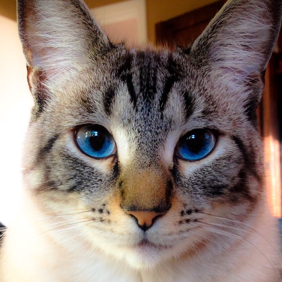 Nice to meet you. - Picture 14 of 14